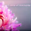 Calme - Calme et Harmonie – Musique douce détente et sommeil